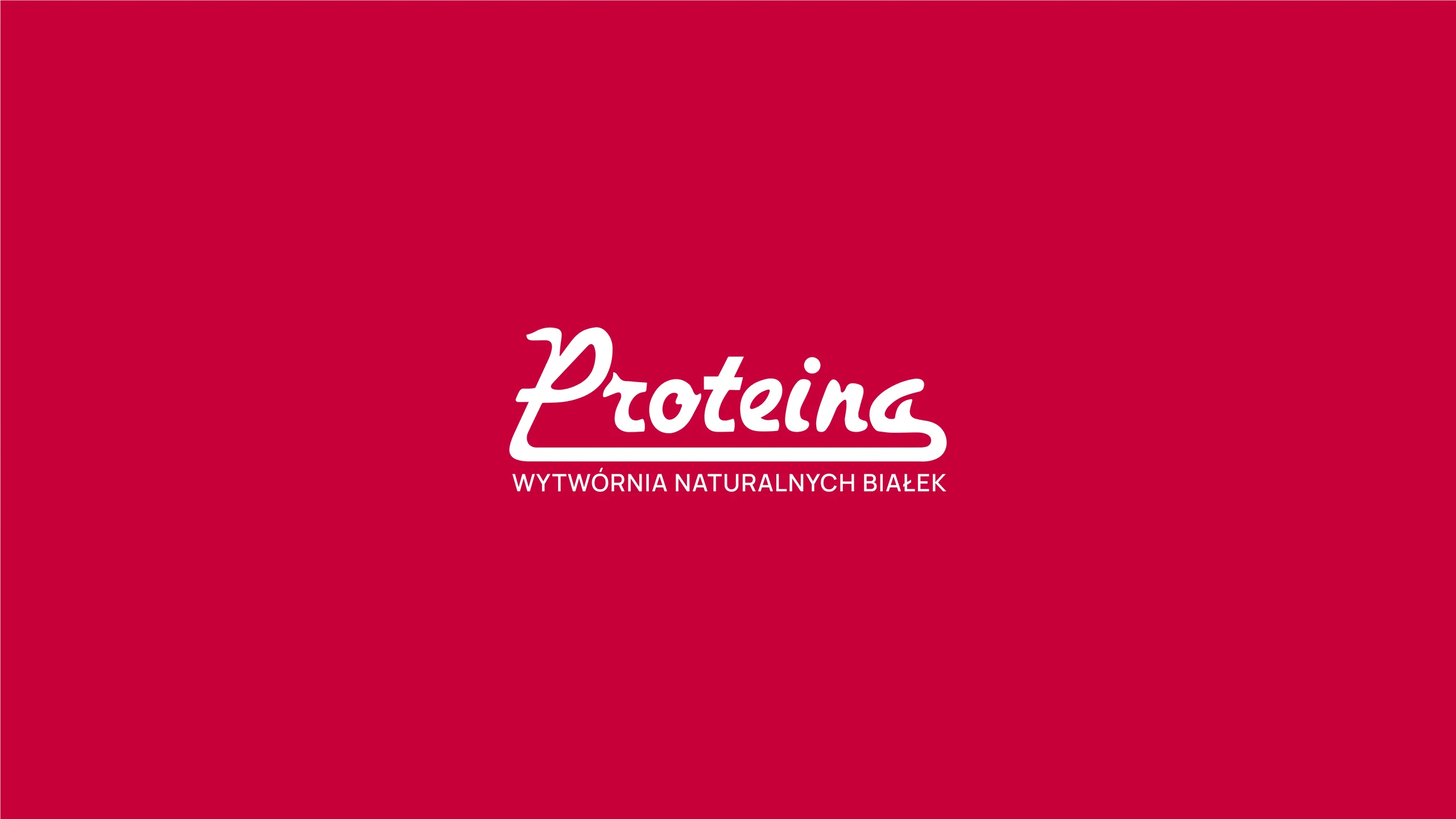 Proteina brand identity 1
